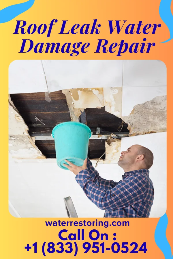 Roof Leak Water Damage Repair in Miles, IA